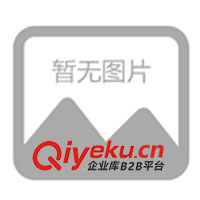 廣東衡器廠佛山市順德區(qū)力固制造供應砝碼